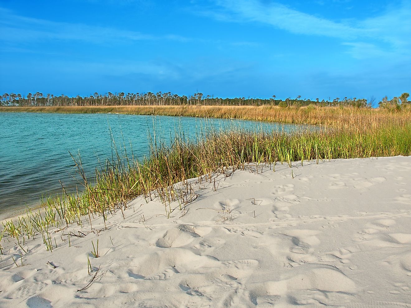 Horn Island Lagoon in Mississippi