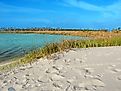 Horn Island Lagoon in Mississippi