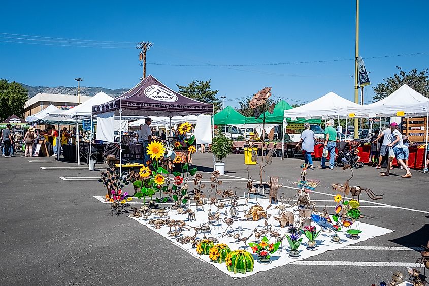 Views of the Carson City Farmer's market