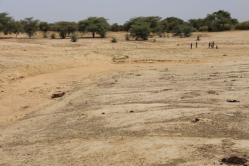 Arid landscape in northern Senegal with eroded soil and sparse acacia trees. The sandy ground shows traces of erosion, highlighting the dry climate and ongoing desertification during the dry season.