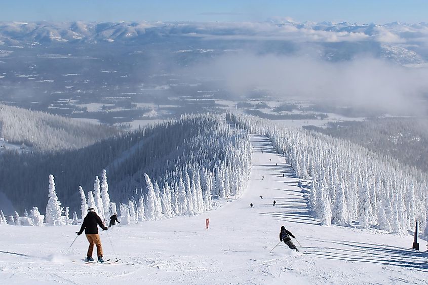 Schweitzer Mountain trail in Idaho.