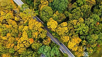 A beautiful road in Indiana in fall.