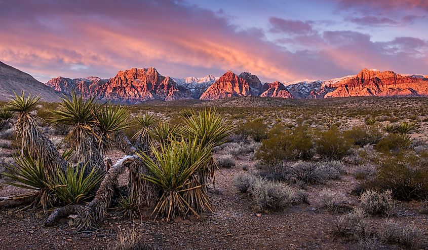 Sunrise at Red Rock Canyon, Nevada