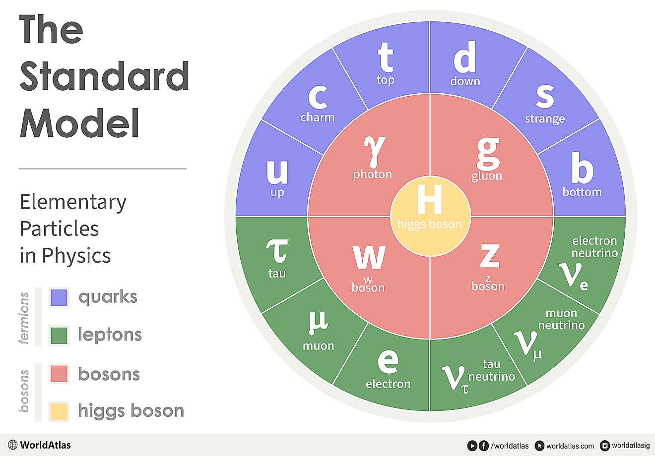 infographic showing the elementary particles in physics