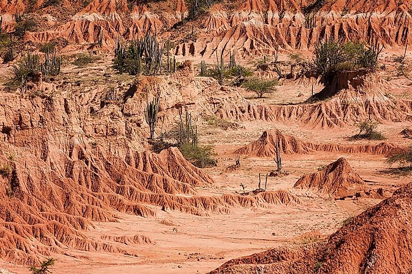 The rugged desolation of Colombia's Tatacoa Desert dotted with cacti and other scattered drought-tolerant flora.