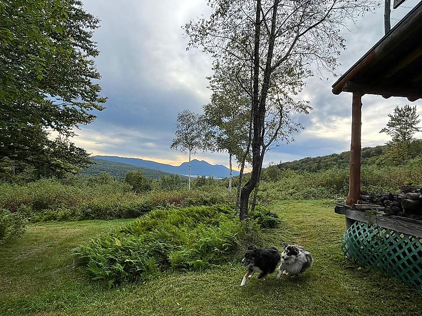 A Maine cabin with a view of Mount Bigelow. Image Credit: Teresa Price